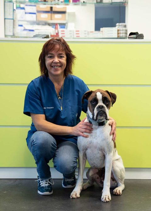 Qu'est-ce que le centre vétérinaire des templiers